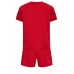 Danmark kläder Barn VM 2022 Hemmatröja Kortärmad (+ korta byxor)